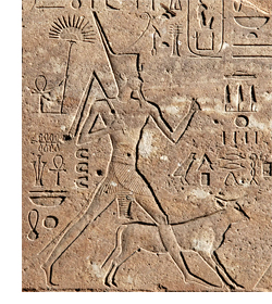 ������������� ������� ����������� �������� ������